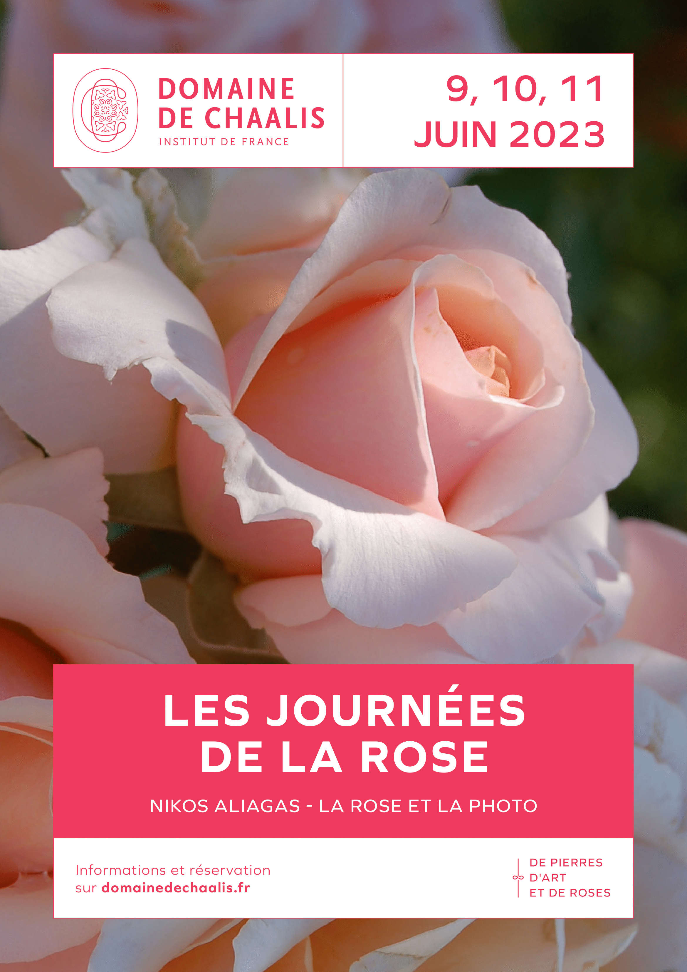 Histoire de la rose et du rosier